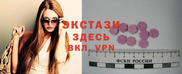 сатива Няндома