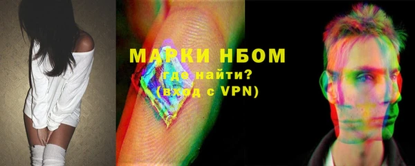 сатива Няндома
