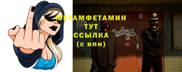 сатива Няндома