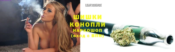 сатива Няндома