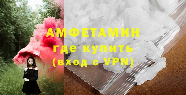 сатива Няндома