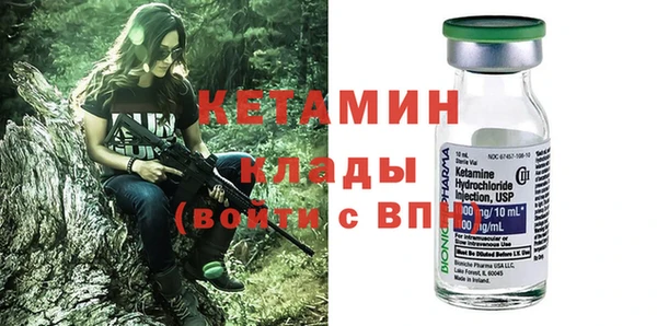 сатива Няндома