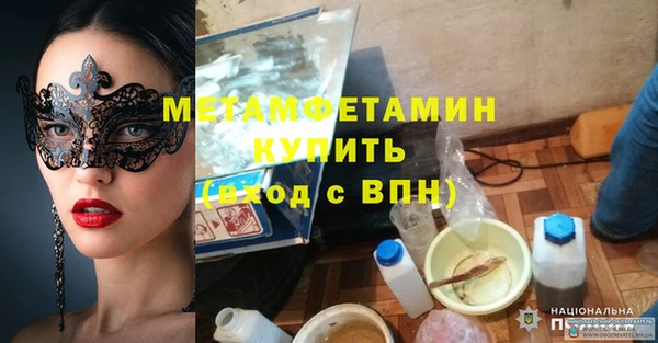 сатива Няндома