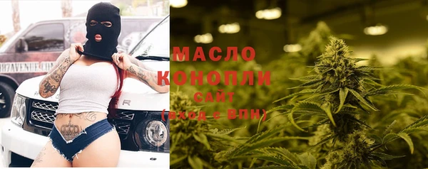 сатива Няндома