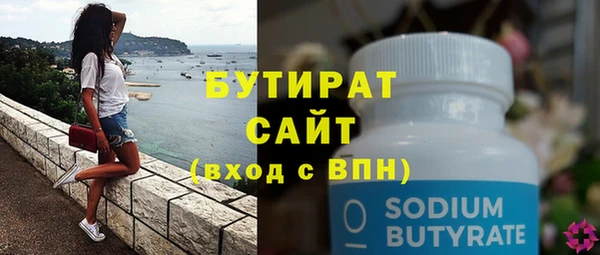 сатива Няндома
