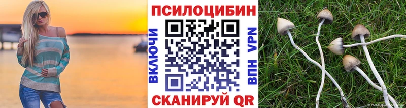 гидра онион  Реж  Псилоцибиновые грибы MAGIC MUSHROOMS  купить наркотики сайты 