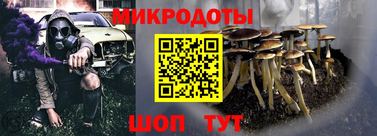 Реж  Галлюциногенные грибы Cubensis  Вход с VPN 